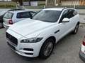 Jaguar F-Pace 20d AWD Prestige Aut. MOTORSCHADEN Blanc - thumbnail 2