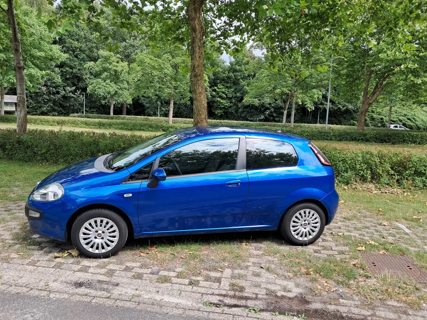Fiat Punto Evo Punto 1.2 Azul - 2