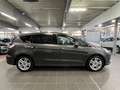 Ford S-Max Titanium 209PS-7S-Design 1&2-Kamera-IVDC Gris - thumbnail 1