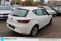 SEAT Leon Reference 1,2 Neuer Motor Bei 65.000 KM Blanc - thumbnail 25