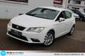 SEAT Leon Reference 1,2 Neuer Motor Bei 65.000 KM Blanc - thumbnail 14