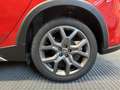 Fiat Tipo Cross 5p 1.0 100cv Rosso - thumbnail 7