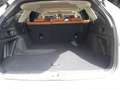 Subaru OUTBACK Platinum Bej - thumbnail 9