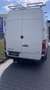 Volkswagen Crafter 35 TDI DPF KLIMA - thumbnail 3