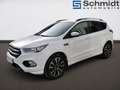Ford Kuga 1,5 TDCi ST-Line Weiß - thumbnail 2