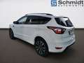 Ford Kuga 1,5 TDCi ST-Line Weiß - thumbnail 3