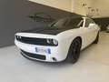 Dodge Challenger 3.6 V6 SXT Plus 305cv at8 Super Track Pack - thumbnail 1