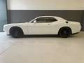 Dodge Challenger 3.6 V6 SXT Plus 305cv at8 Super Track Pack - thumbnail 5