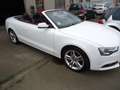 Audi A5 3.0 TDi V6 DPF auto Blanc - thumbnail 8