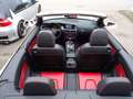 Audi A5 3.0 TDi V6 DPF auto Blanc - thumbnail 7
