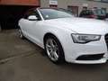 Audi A5 3.0 TDi V6 DPF auto Blanc - thumbnail 2