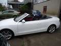 Audi A5 3.0 TDi V6 DPF auto Blanc - thumbnail 10