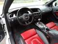 Audi A5 3.0 TDi V6 DPF auto Blanc - thumbnail 6