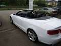 Audi A5 3.0 TDi V6 DPF auto Blanc - thumbnail 11