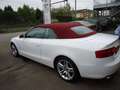 Audi A5 3.0 TDi V6 DPF auto Blanc - thumbnail 5