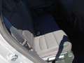 Ford Kuga 1.5 EcoBlue 120cv *ST-Line-FULL OPT.* da VETRINA Gris - thumbnail 14