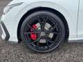 Volkswagen Golf VIII 2.0 TSI DSG GTI+BLACK+HARMAN+IQ+PANO Weiß - thumbnail 14
