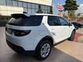 Land Rover Discovery Sport I 2020 2.0d i4 mhev R-Dynamic awd 150cv auto Bianco - thumbnail 6