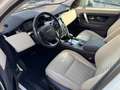 Land Rover Discovery Sport I 2020 2.0d i4 mhev R-Dynamic awd 150cv auto Bianco - thumbnail 14