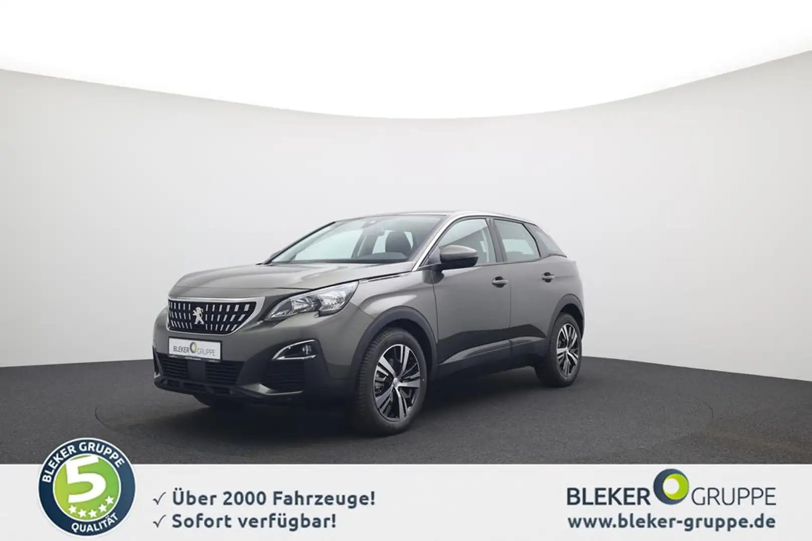 Peugeot 3008 BlueHDi 130 Active Gris - 1