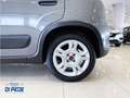 Fiat Panda Panda 1.0 firefly hybrid City Life s Grigio - thumbnail 6