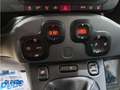 Fiat Panda Panda 1.0 firefly hybrid City Life s Grigio - thumbnail 12