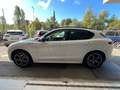 Alfa Romeo Stelvio Stelvio 2.2 t Veloce Ti Q4 210cv Auto *Promo SD Weiß - thumbnail 13