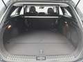 Kia Ceed SW / cee'd SW CEED SW 1.5 T-GDI DCT7 ULTIMATE EDITION MJ25 STYLE Grigio - thumbnail 15