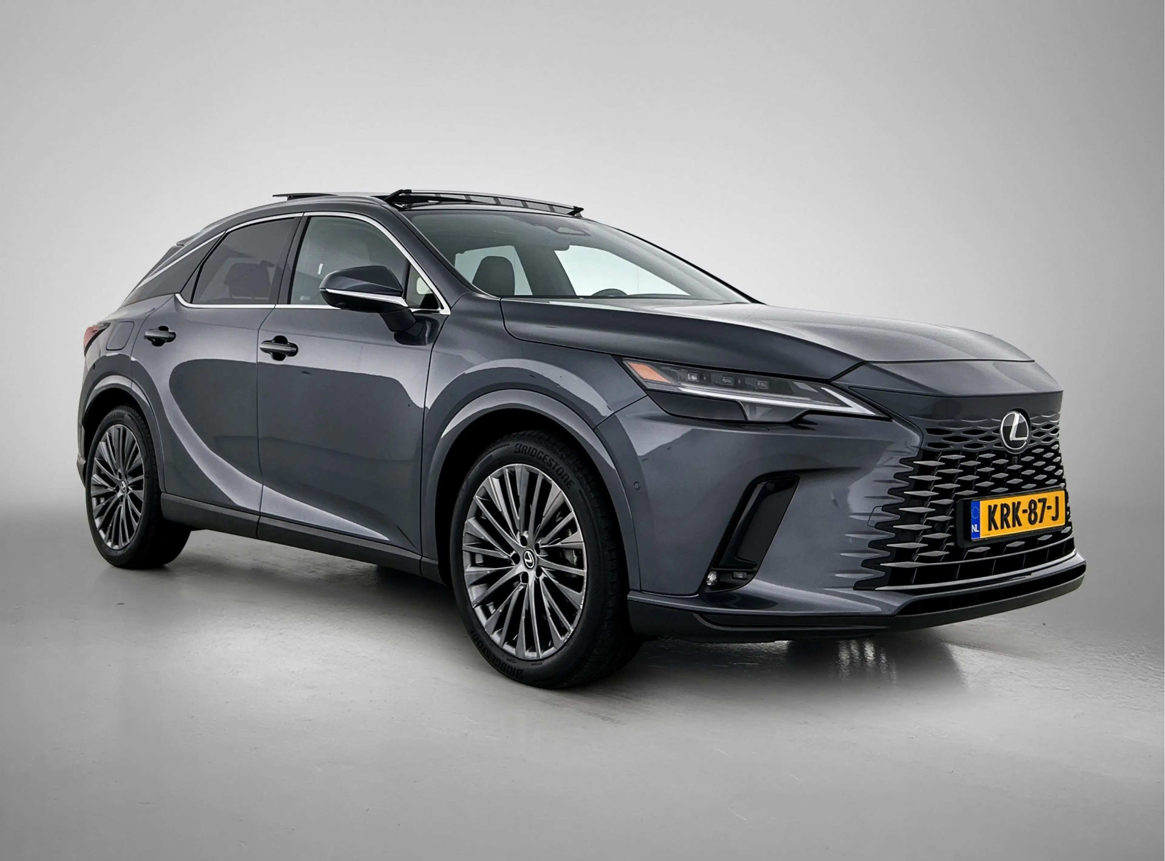 Lexus RX 450h 450h+ Plug-in Hybrid President Line | Afneembare T — photo 15