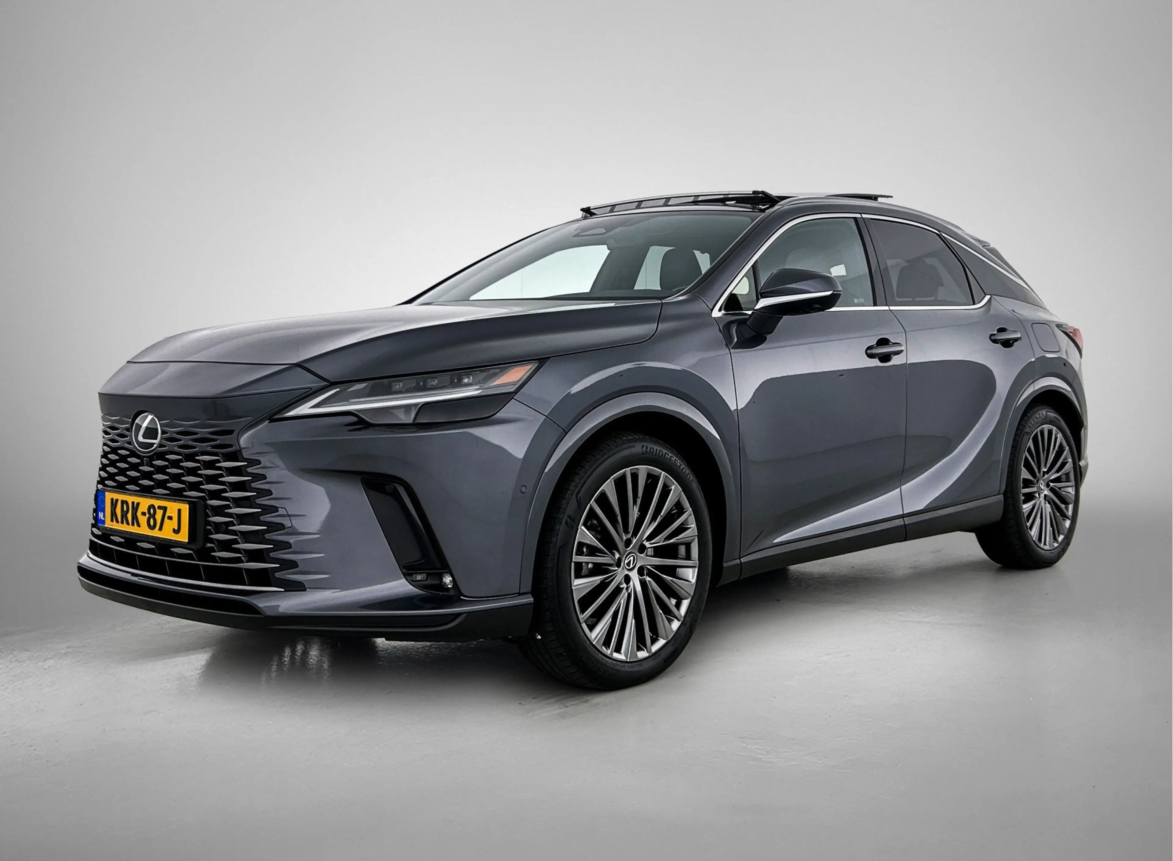 Lexus RX 450h 450h+ Plug-in Hybrid President Line | Afneembare T