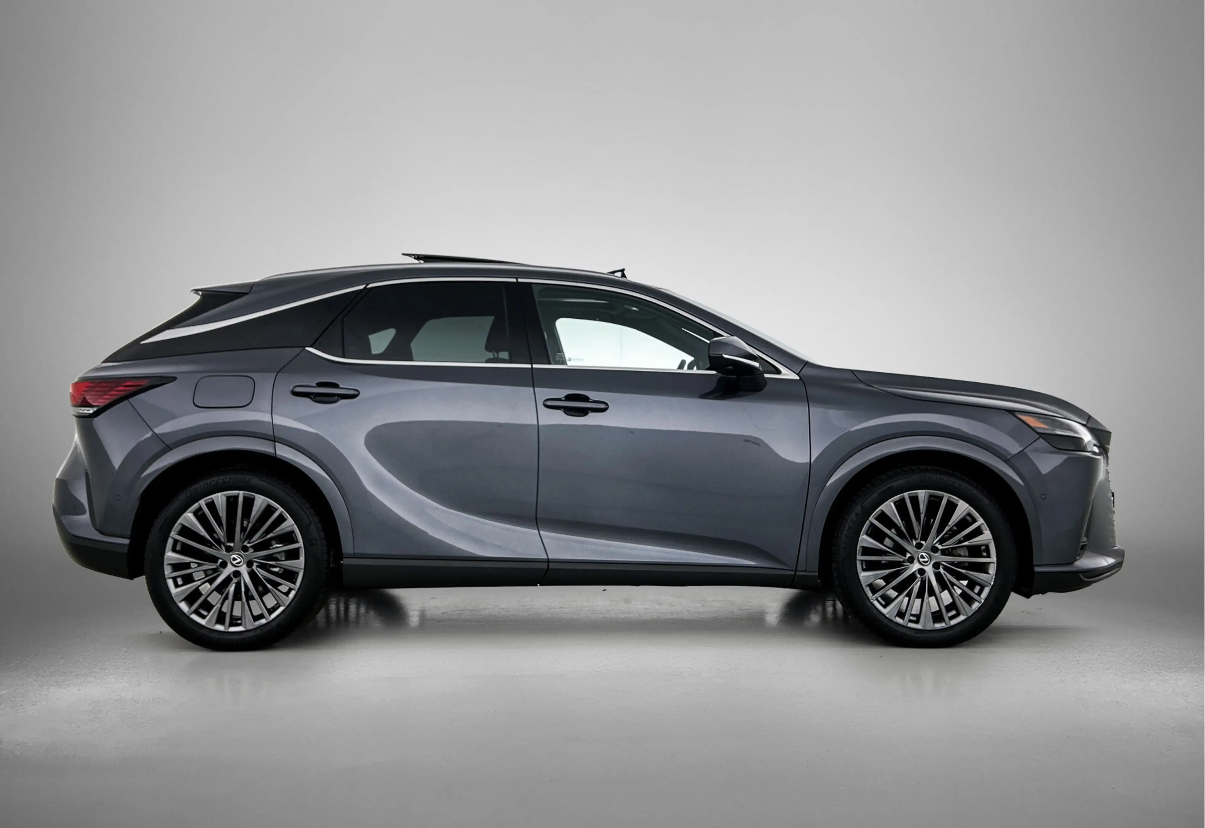 Lexus RX 450h 450h+ Plug-in Hybrid President Line | Afneembare T — photo 14
