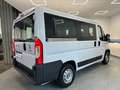 Fiat Ducato 2.3 MJT 140CV PC-TN Panorama Bianco - thumbnail 7