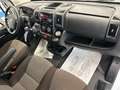 Fiat Ducato 2.3 MJT 140CV PC-TN Panorama Bianco - thumbnail 13