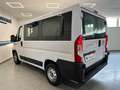 Fiat Ducato 2.3 MJT 140CV PC-TN Panorama Bianco - thumbnail 4