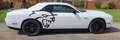 Dodge Challenger R/T Blanc - thumbnail 5