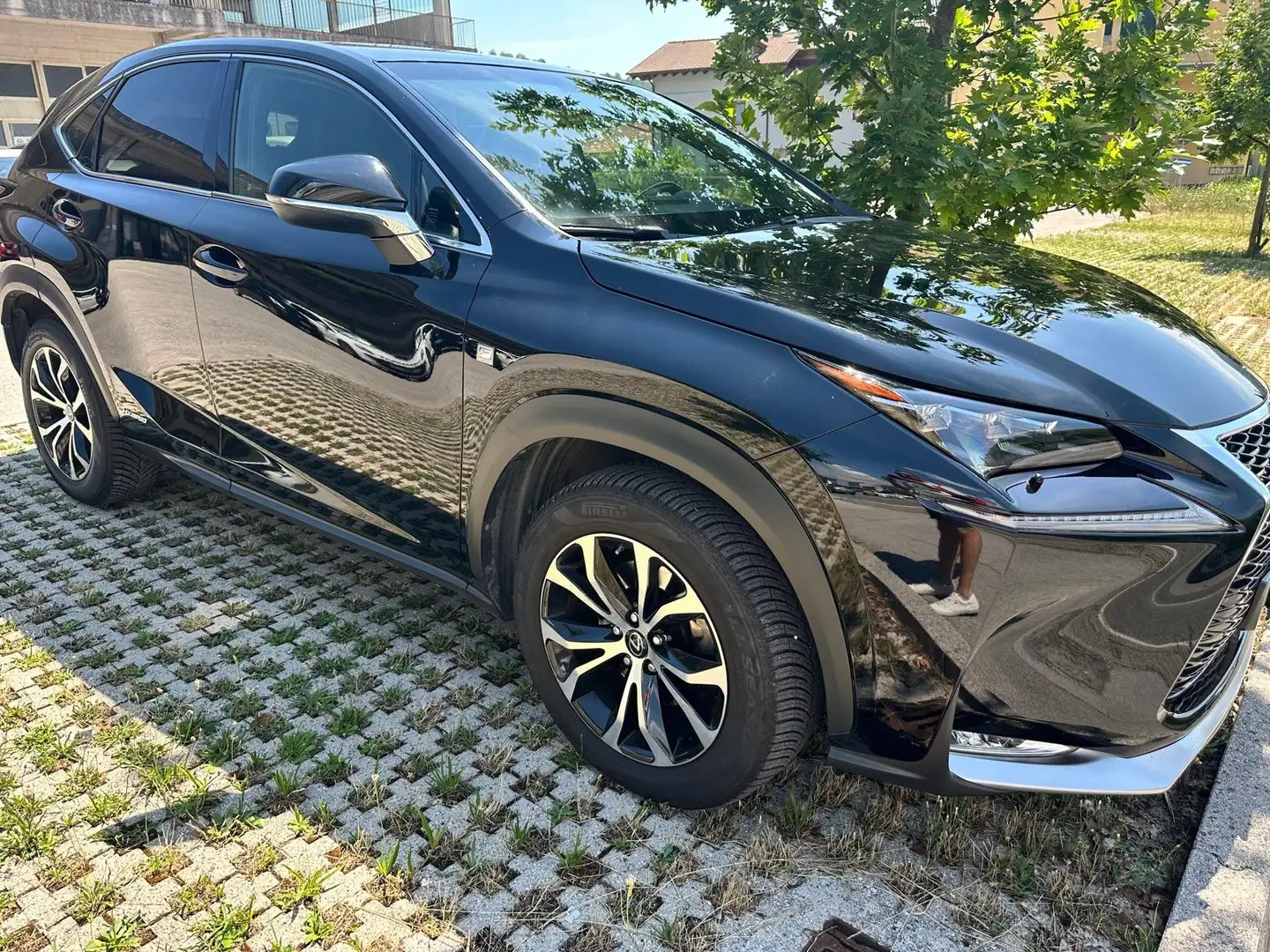 Lexus NX 300h F-Sport 4WD Czarny - 2