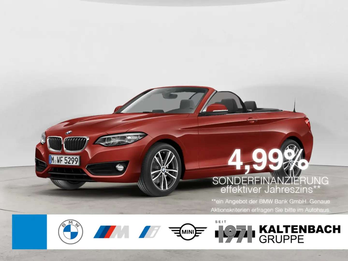 BMW 218 i Cabrio Sport Line FACEL. LED NAVI LEDER Rot - 1