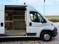 Fiat Ducato 2.0 115 Multijet2 Blanc - thumbnail 6
