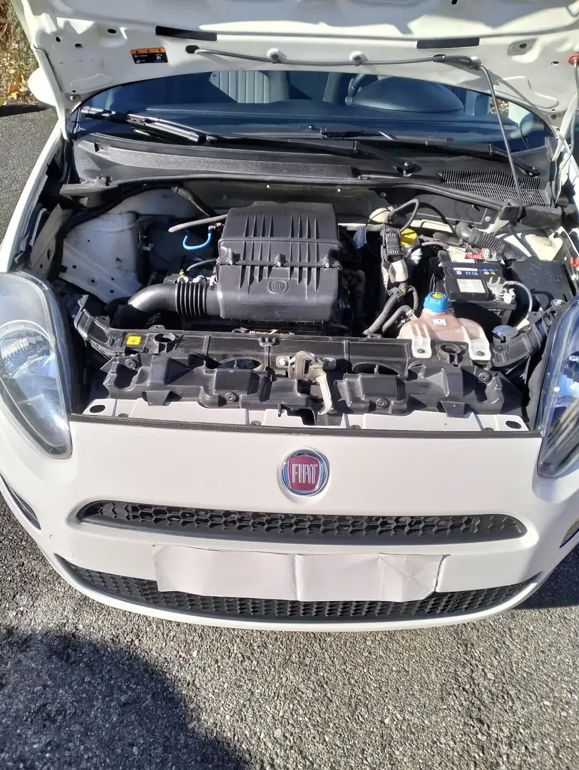 Fiat Punto 5p 1.2 Street E6 - 1