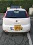 Fiat Punto 5p 1.2 Street E6 - thumbnail 11