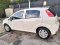 Fiat Punto 5p 1.2 Street E6 - thumbnail 7