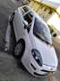 Fiat Punto 5p 1.2 Street E6 - thumbnail 8