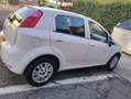 Fiat Punto 5p 1.2 Street E6 - thumbnail 10