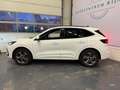 Ford Kuga 2.5 PHEV ST-Line X 2 JAAR BOVAG GARANTIE Wit - thumbnail 5