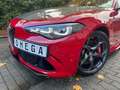 Alfa Romeo Giulia GIULIA QUADRIFOGLIO AKRAPOVIC|CARBON|PPF FOLIE Rouge - thumbnail 14