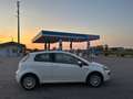 Fiat Punto Evo 3p 1.2 Blue&Me s&s Euro5 Ok Neopatentati Bianco - thumbnail 2