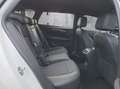 Opel Insignia B ST Premium "Business" aus 1-Hand Blanc - thumbnail 26