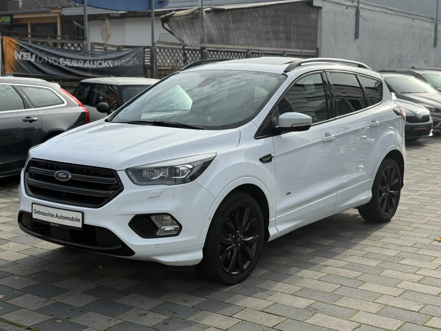 Ford Kuga 2.0 4x4 ST-Line Leder Automatik Navi Pano KeylesGo Weiß - 2