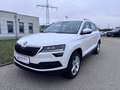 Skoda Karoq Ambition 125 TDI Weiß - thumbnail 1