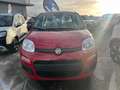 Fiat Panda Pandina 1.0 firefly hybrid Icon s Modrá - thumbnail 15